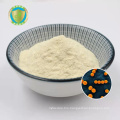 Lactobacillus Casei Powder Supplement Natural Beauty Products